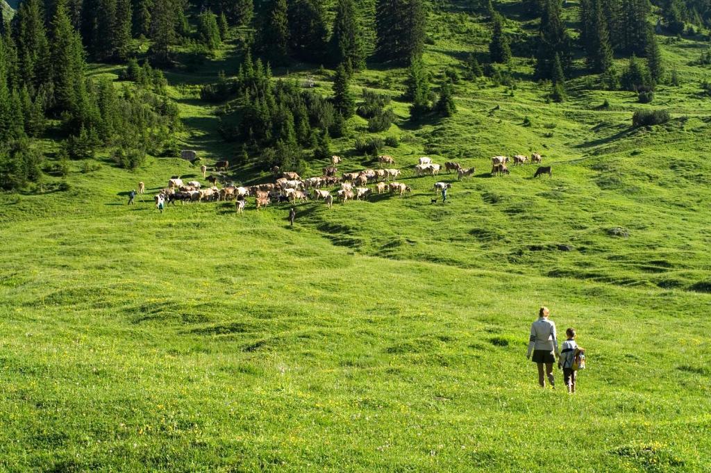 Hotel Sonnblick Wald am Arlberg Εξωτερικό φωτογραφία